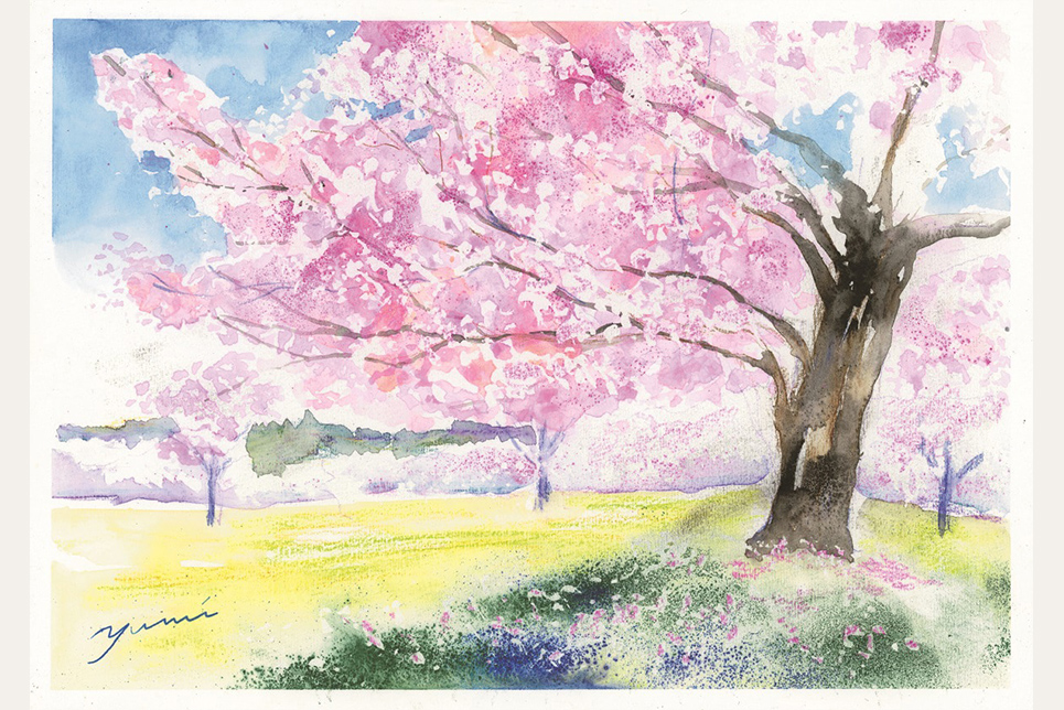 がんばり続ける 戦術 多様体 色鉛筆 桜 描き方 風景 Chez Motoyama Jp