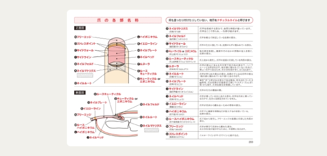 ユーキャンのネイリスト資格取得講座｜副教材